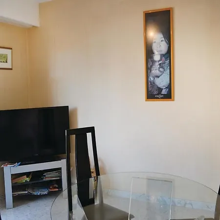 Two-bedroom In Apartment Cannes